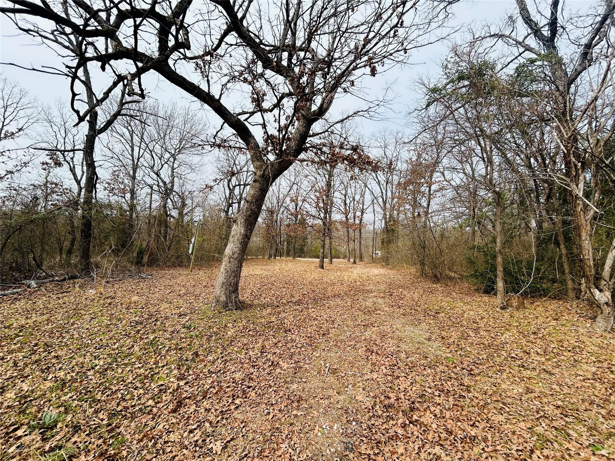 Image 4 Image 4