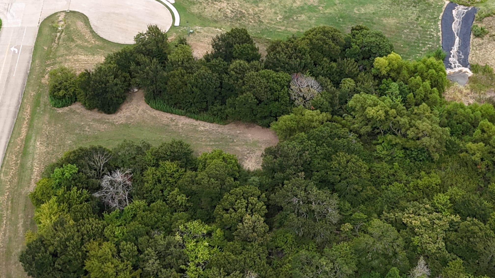Image 4 Image 4
