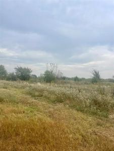 2041 County Road 1430