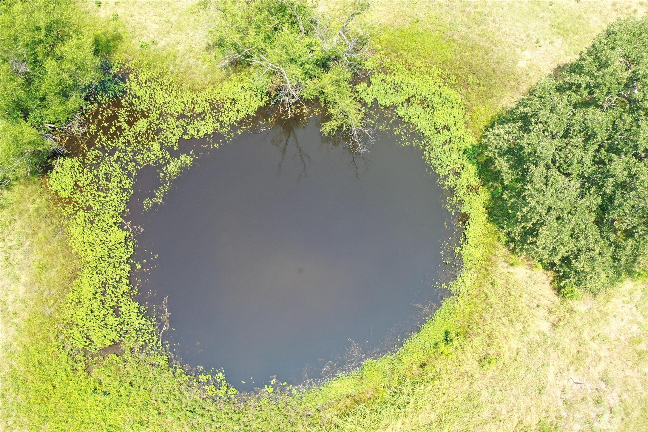 Image 2 Image 2