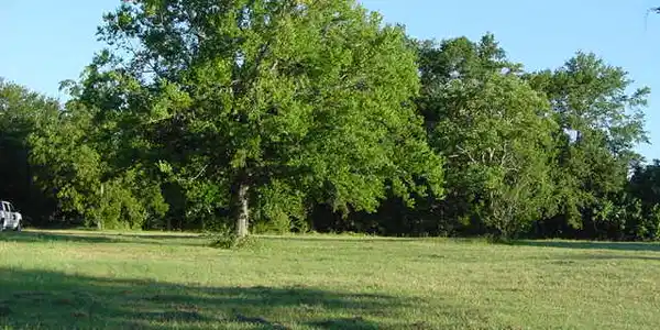 1 Kirks Point Lot 1