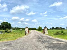 Lot 57 Pr 52320