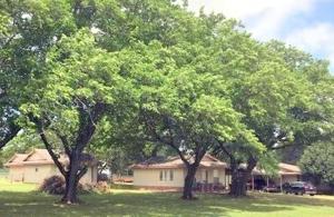 539 Golden Oakes Road