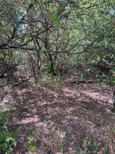 33069 Woodcrest Drive