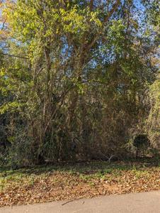 Lot 101 Wood Canyon Road