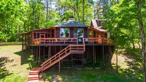 1439 Panther Creek