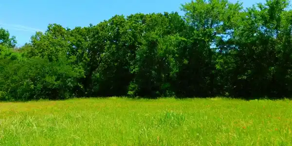 L 97 Tonkawa Trail
