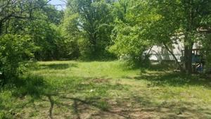 1384 Big Mineral Road