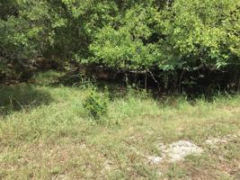 14041 Sandy Oaks Drive
