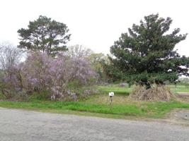 851 County RD 1522