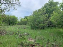 Lot 23 Buffalo Gap Drive