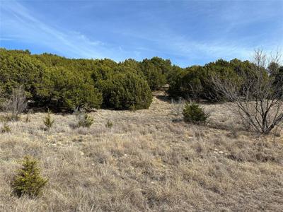 Lot 154 Canyon Wren N