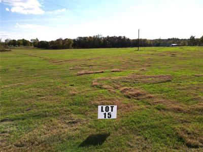Lot 15 FM514 Road