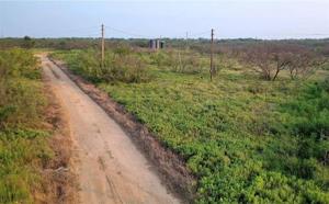Lot 423 West Court