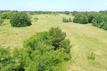 381 Paddock Drive