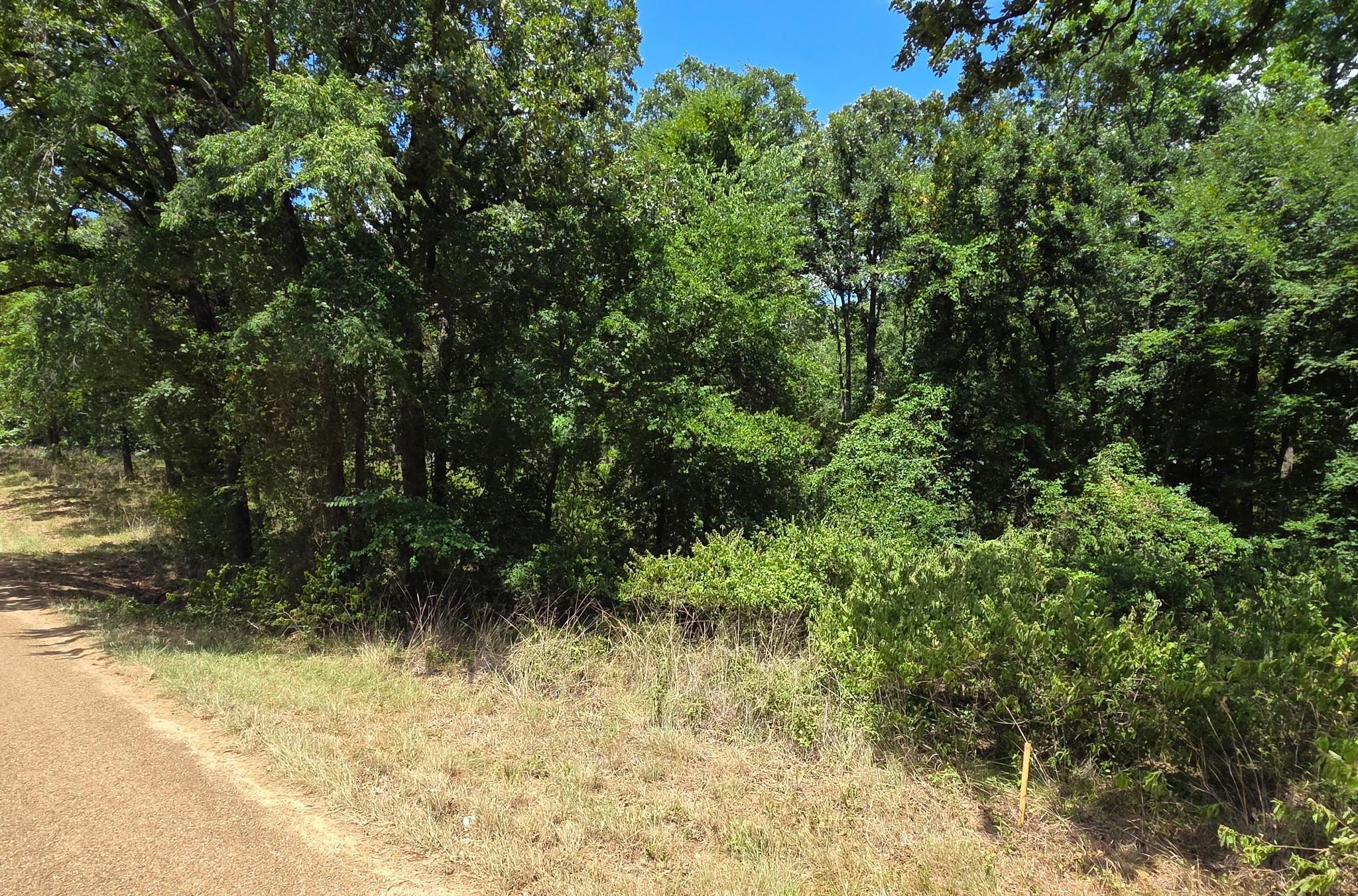 Image 1 Image 1