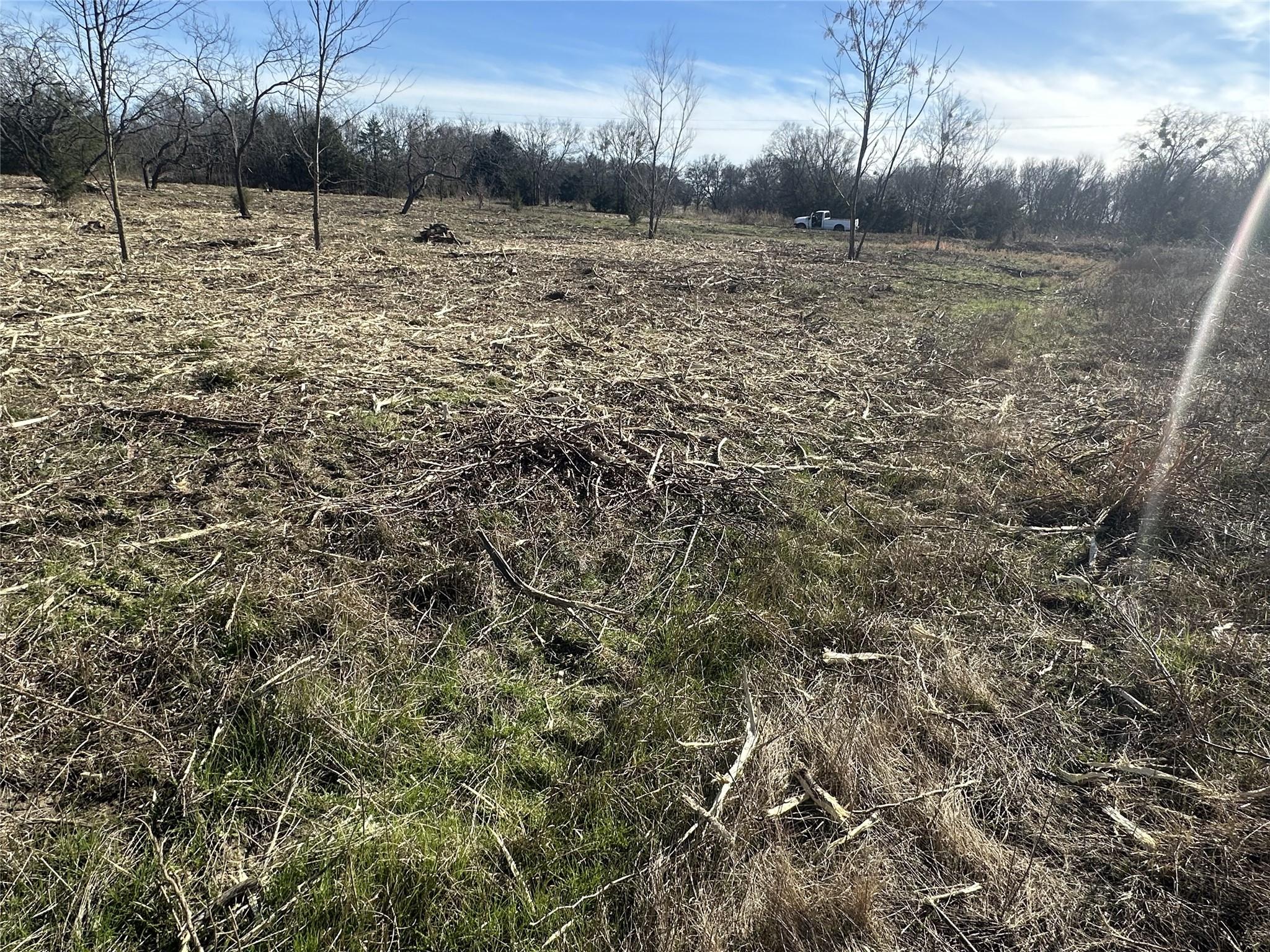 Image 4 Image 4