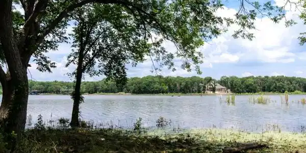 The Shores Drive Lot 250