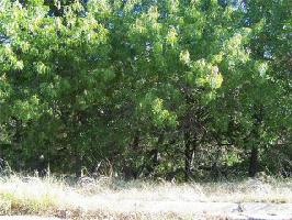 10 GREENWAY Bend Lot 10