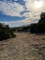 LT 709 Canyon Wren Loop