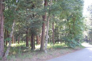 Lot 105R Lakeshore