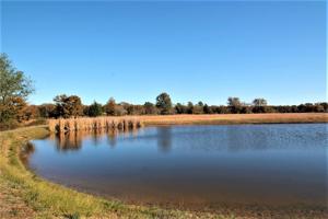 Lot 10 Private Road 5291