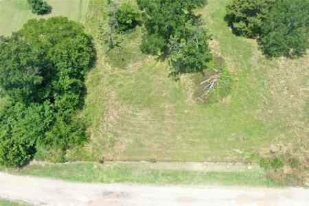 381 Paddock Drive