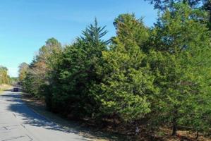 2 Kings Country Boulevard