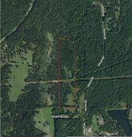 Cr 1131