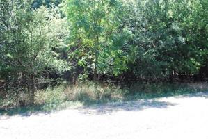 1514 Deerwood Court