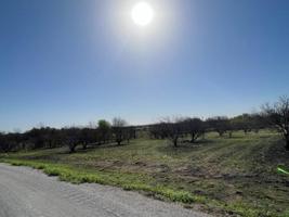 TBD Bay Breeze Drive