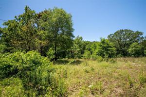 Lot 598B Red Bird Lane