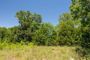 Lot 599B Red Bird Lane