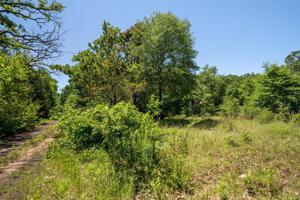 Lot 698C Blue Bird Lane
