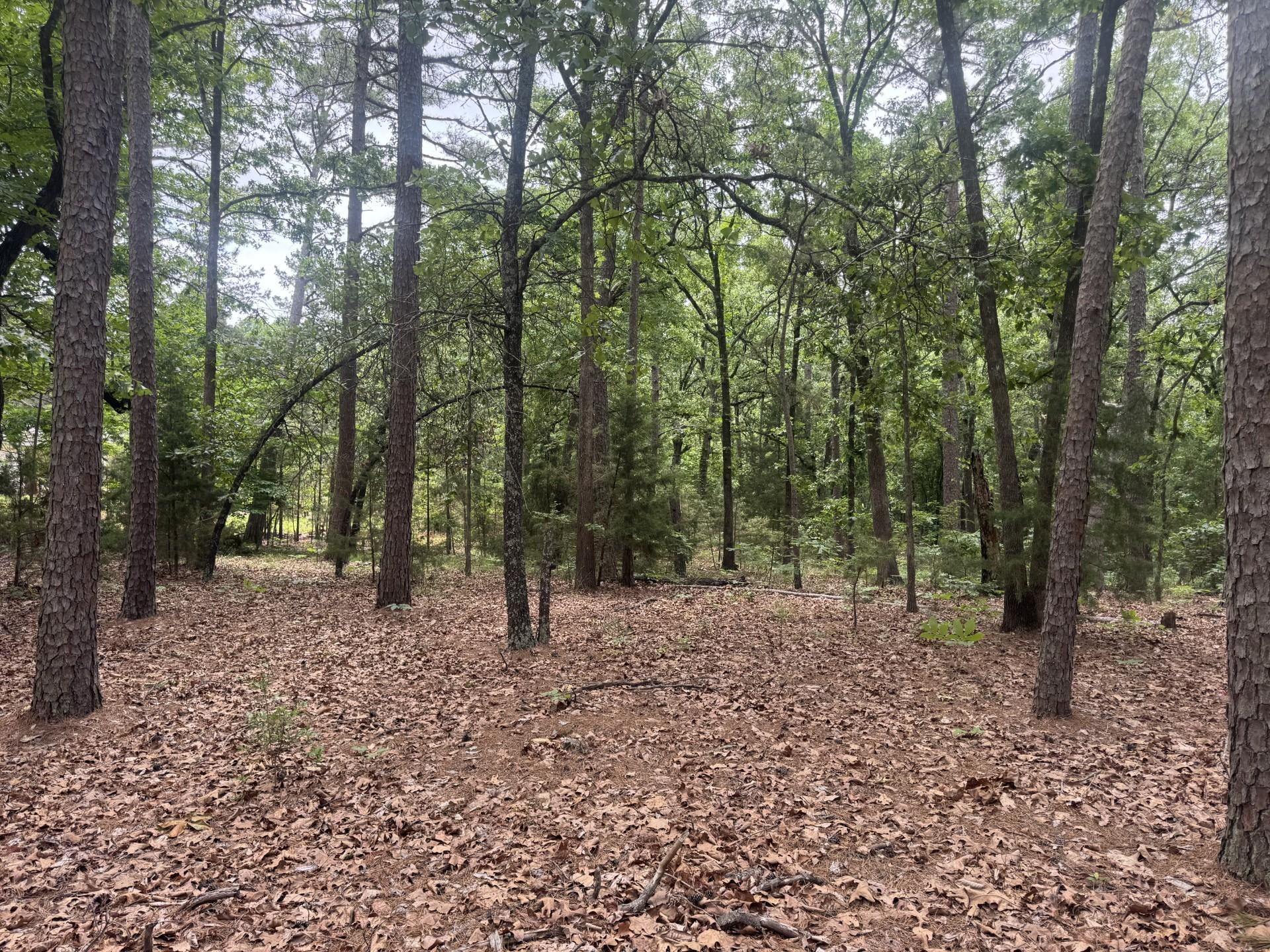 Image 4 Image 4
