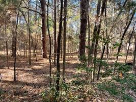 Lot 86 Bluebird Circle