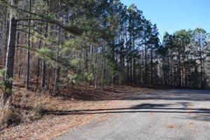 Quail Trail