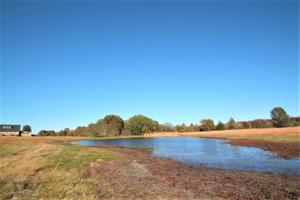 Lot 11 Private Road 5291