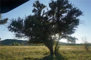 Lot 18 Northern Bobwhite Court