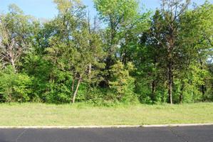 Lot 23 TBD Dove Canyon Drive