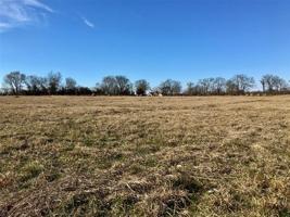County Road 3419