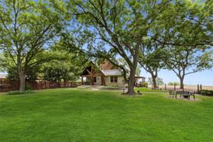 10557 Tree Lane
