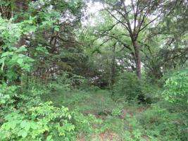 Tract 3 Rec Rd #3