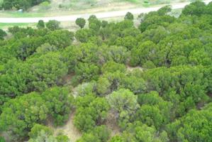 Lot1028 Cinnamon Teal Drive