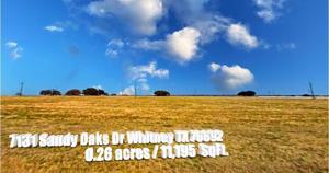 7131 Sandy Oaks Drive