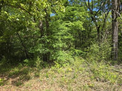 Lot 699 Shady Grove Road