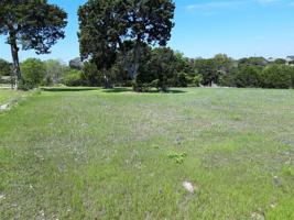 Lot 99 TBD County Rd 1544