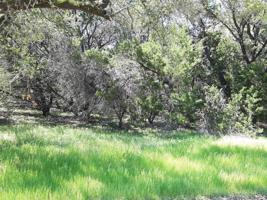 TBD County Road 1524