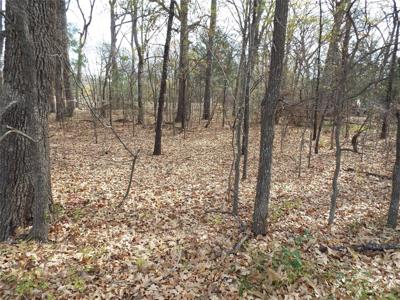 Lot 70 Quail Run Road