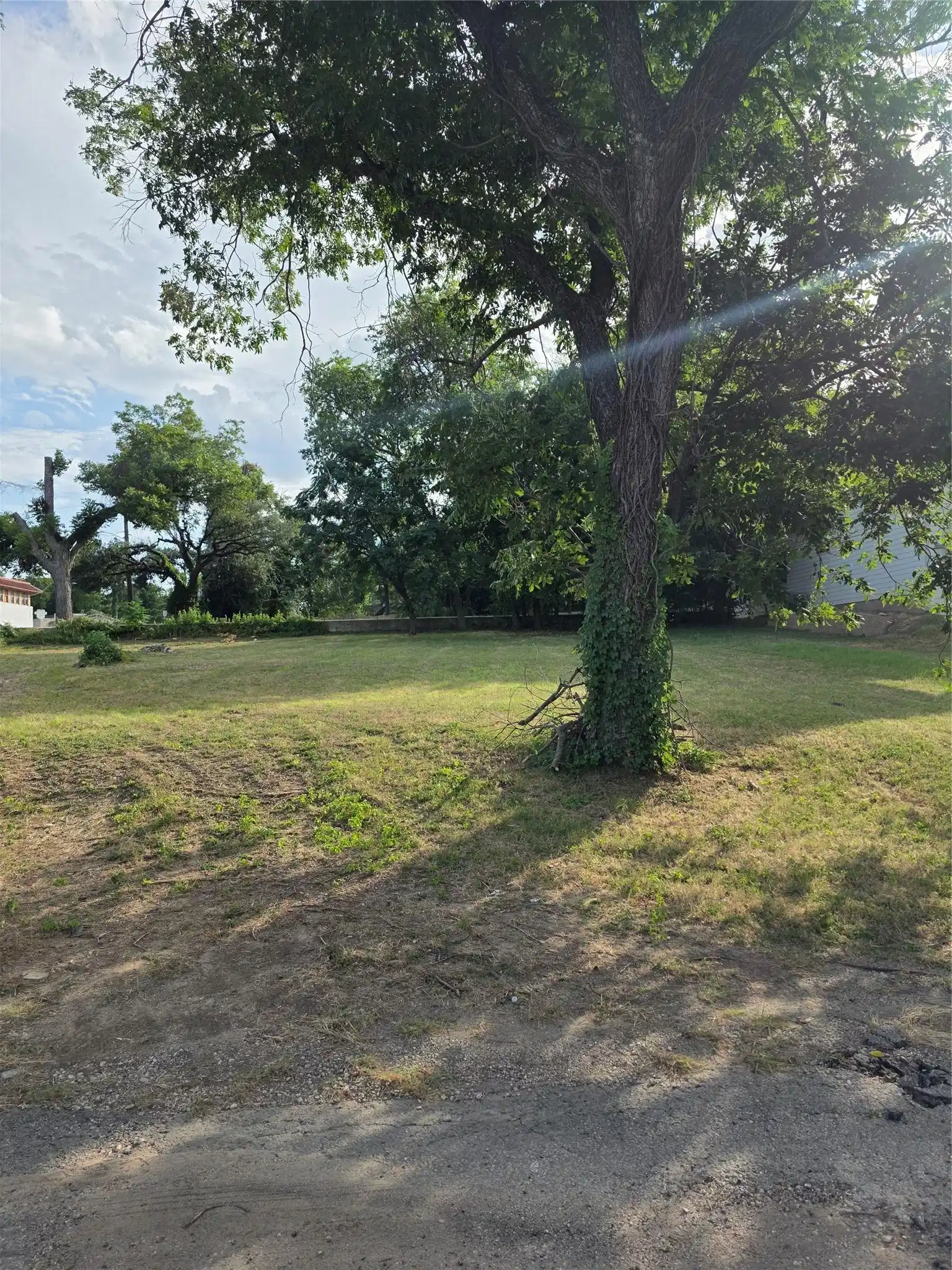 Image 1 Image 1
